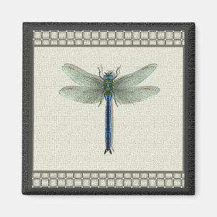 Íman Dragonfly Azul Elegante