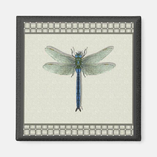 Íman Dragonfly Azul Elegante (Frente)