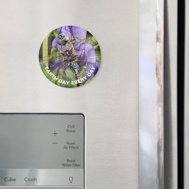 Íman Dragonfly Darner de Olhos Azuis no Dia da Terra em (In Situ (Fridge))