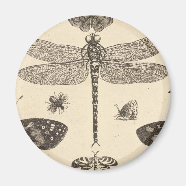 Íman Dragonfly (detalhe) Vintage Art (Frente)