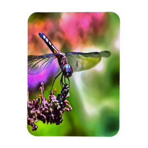Íman Dragonfly em pintura realista verde e azul