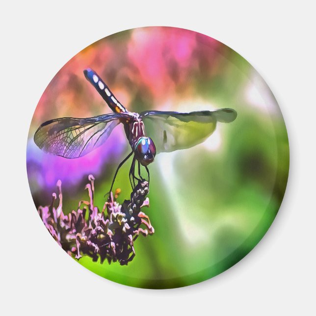 Íman Dragonfly em pintura realística verde e azul (Frente)