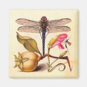 Íman Dragonfly, Pear, Cravo e Insetos