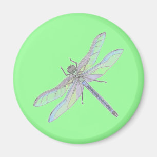 Íman DRAGONFLY (verde)