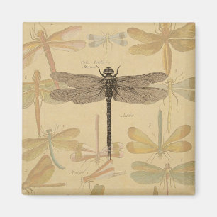 Íman Dragonfly Vintage Desenho Clássico Antiquado
