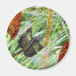 Íman Dragonfly, Voe Para Fora