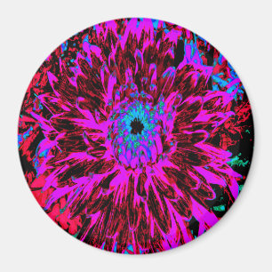 Íman Dramson Red, Purple e Black Dahlia