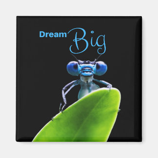 Íman Dream Big Dragonfly - Magnet Motivational Quote