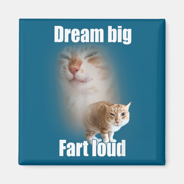 Íman Dream Big Fart Loud Cat Meme Funny Saying  (Frente)