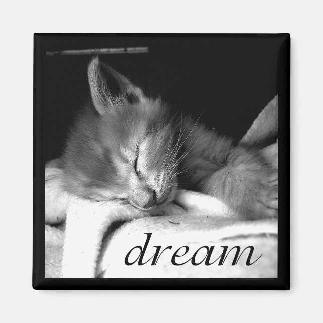 Íman Dream Kitten - Magnet (Frente)