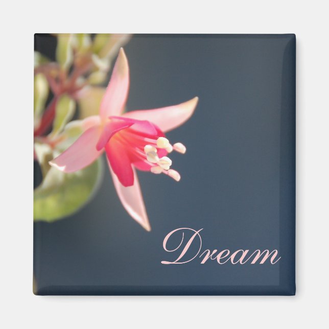 Íman Dream Magnet (Frente)
