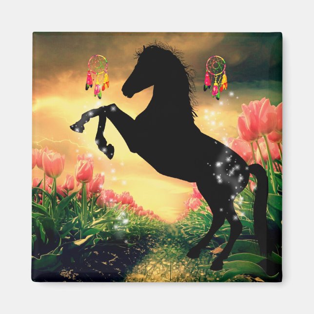 Íman Dreamcatcher (Frente)