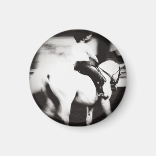 Íman Dressage Abstrato