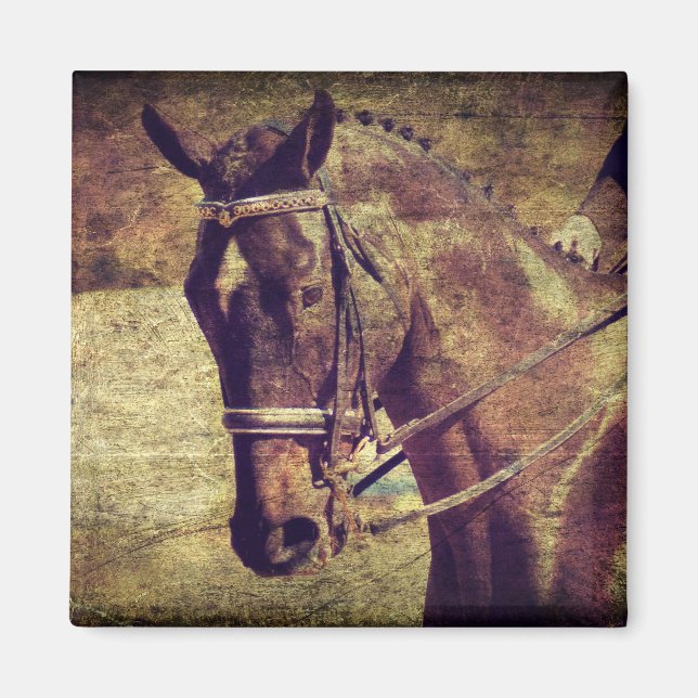 Íman Dressagem (Frente)