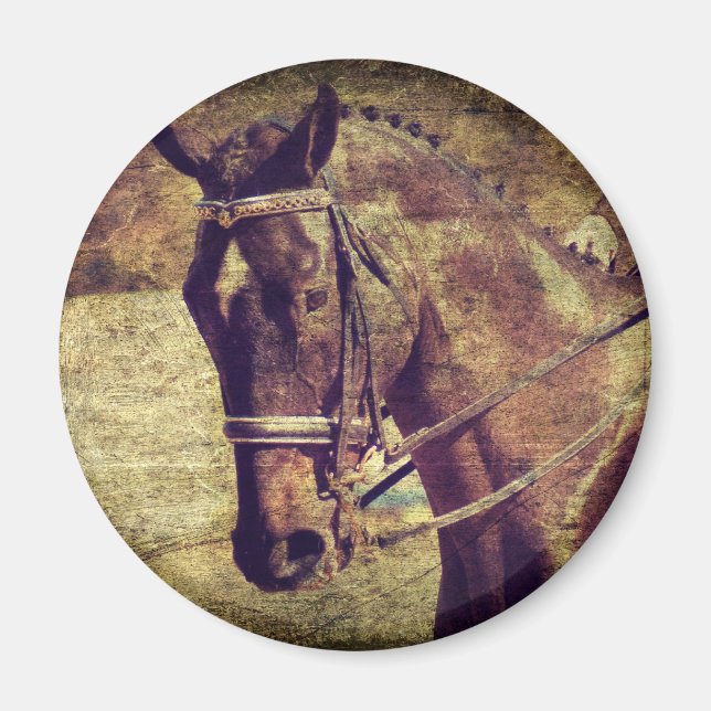 Íman Dressagem (Frente)