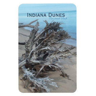 Íman Driftwood Indiana Dunes National Park Magnet