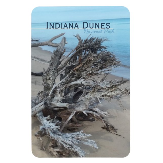 Íman Driftwood Indiana Dunes National Park Magnet (Vertical)