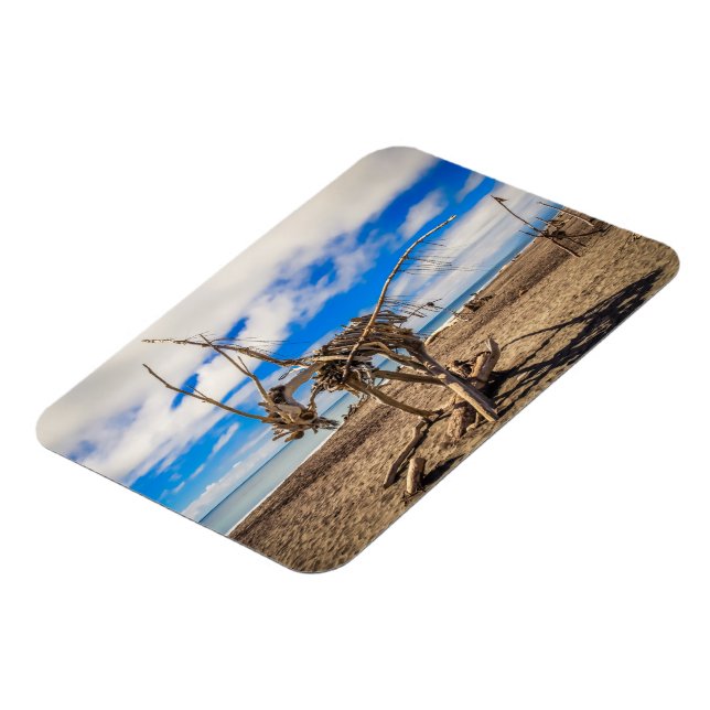 Íman Driftwood trabalho de arte em Hokitika Beach, Nova (Left Side)