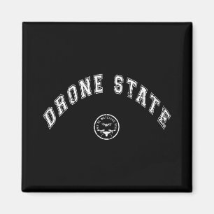 Íman Drone Engraçado Estado Voando Drone Secreto Nova J