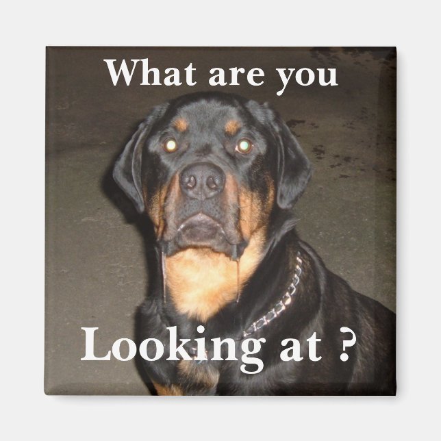 Íman DSCF0490, O que você está vendo? (Frente)