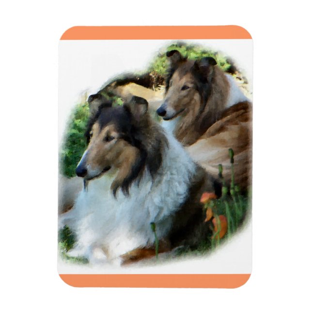 Íman Duas Collies Sable Rough (Vertical)