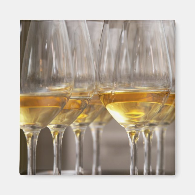 Íman duas fileiras de copos para degustação de vinho co (Frente)