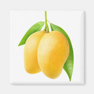 Íman Duas frutas amarelas de manga