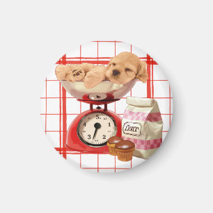 Íman Duas libras de bonito