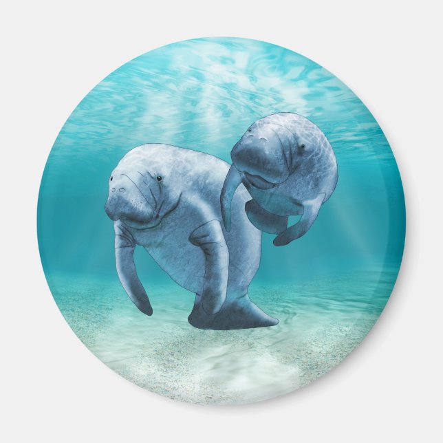 Íman Duas Nadações de Manateus (Frente)