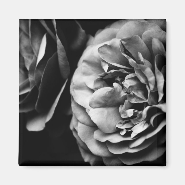 Íman duas rosas (Frente)