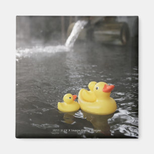 Íman Duckies de borracha japonês