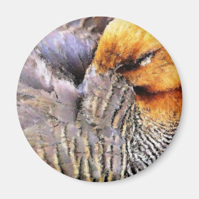 ÍMAN DUCKS (Frente)