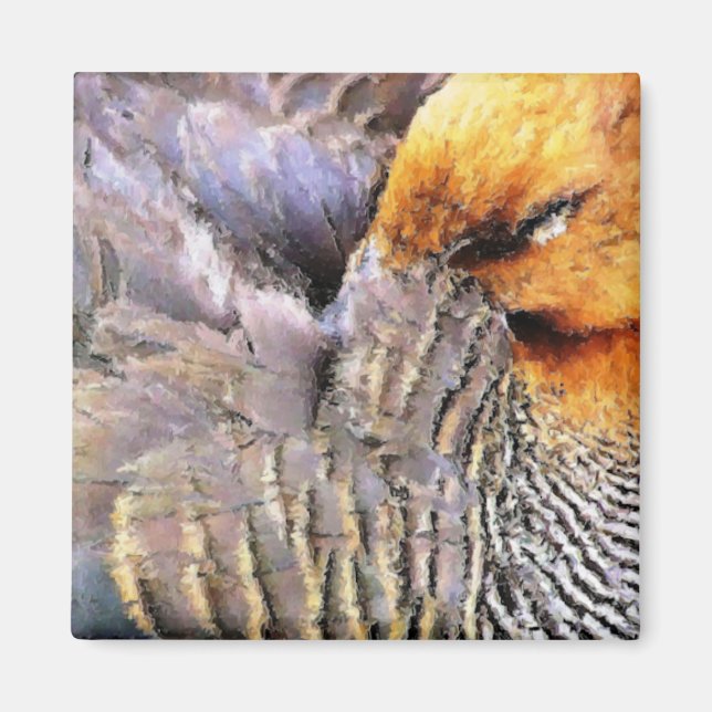 ÍMAN DUCKS (Frente)