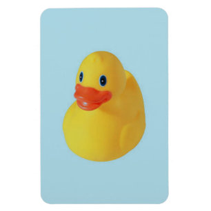 Íman Ducky