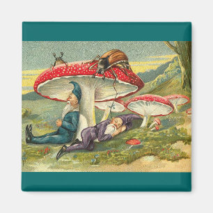 Íman Duendes sonolentos