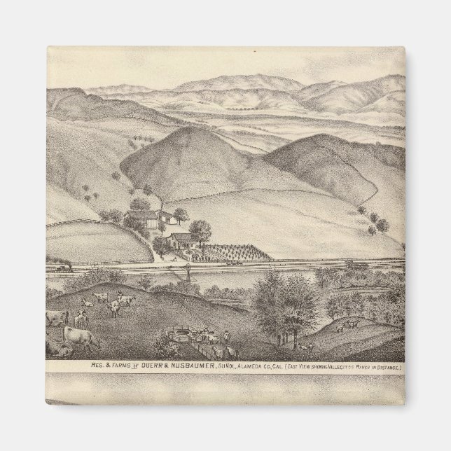 Íman Duerr, Nusbaumer, ranhuras para solteiros (Frente)