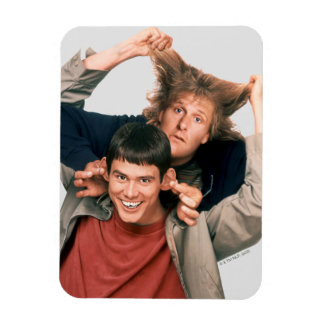 Íman Dumb e Dumber | Lloyd e Harry