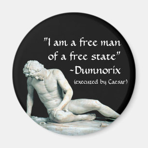 Íman Dumnorix