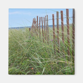 Íman Dunas de Cape Cod