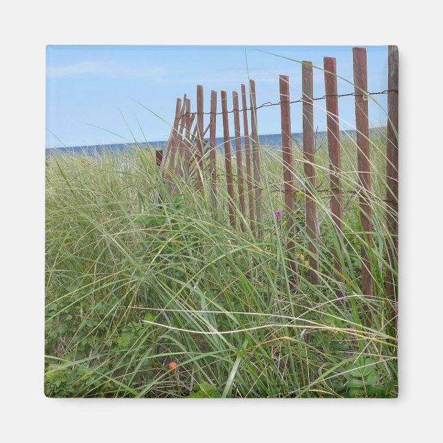 Íman Dunas de Cape Cod (Frente)