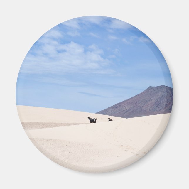 Íman Dunas de Corralejo, Fuerteventura, Ilhas Canárias (Frente)