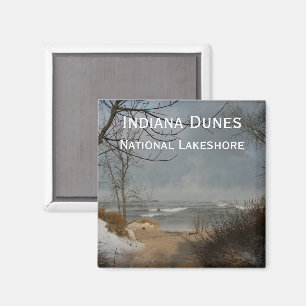 Íman Dunas de Indiana, o Lago Michigan, costa, inverno