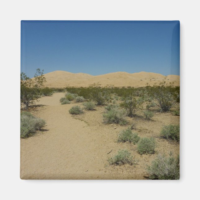 Íman Dunas de Kelso no Parque Nacional de Mojave (Frente)