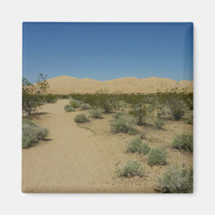 Íman Dunas de Kelso no parque nacional do Mojave