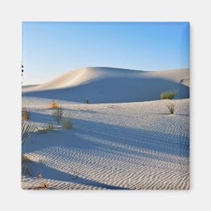 Íman Dunas Transversais, Yucca, Luz da Manhã Cedo