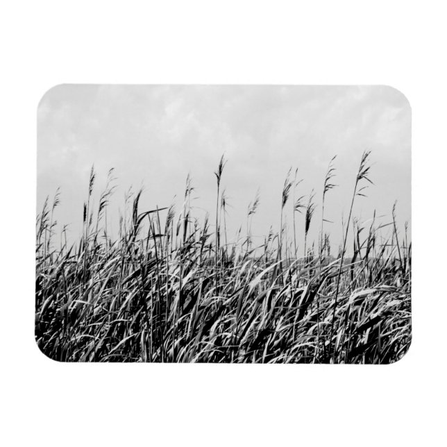 Íman Dune Triptych III (Horizontal)