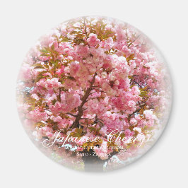 Íman Dupla Flor de Cerejeira: Sato-zakura
