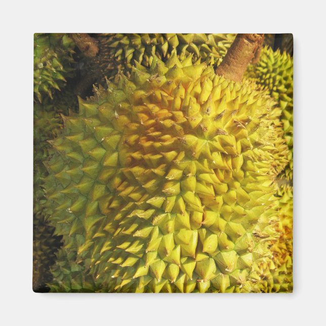 Íman Durian Fruta (Frente)