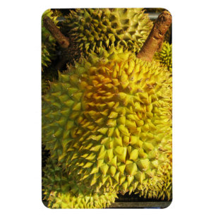 Íman Durian Fruta