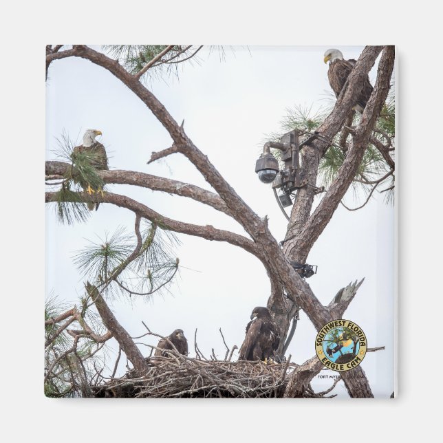 Íman E10 e E11 + Magnet da família (Frente)